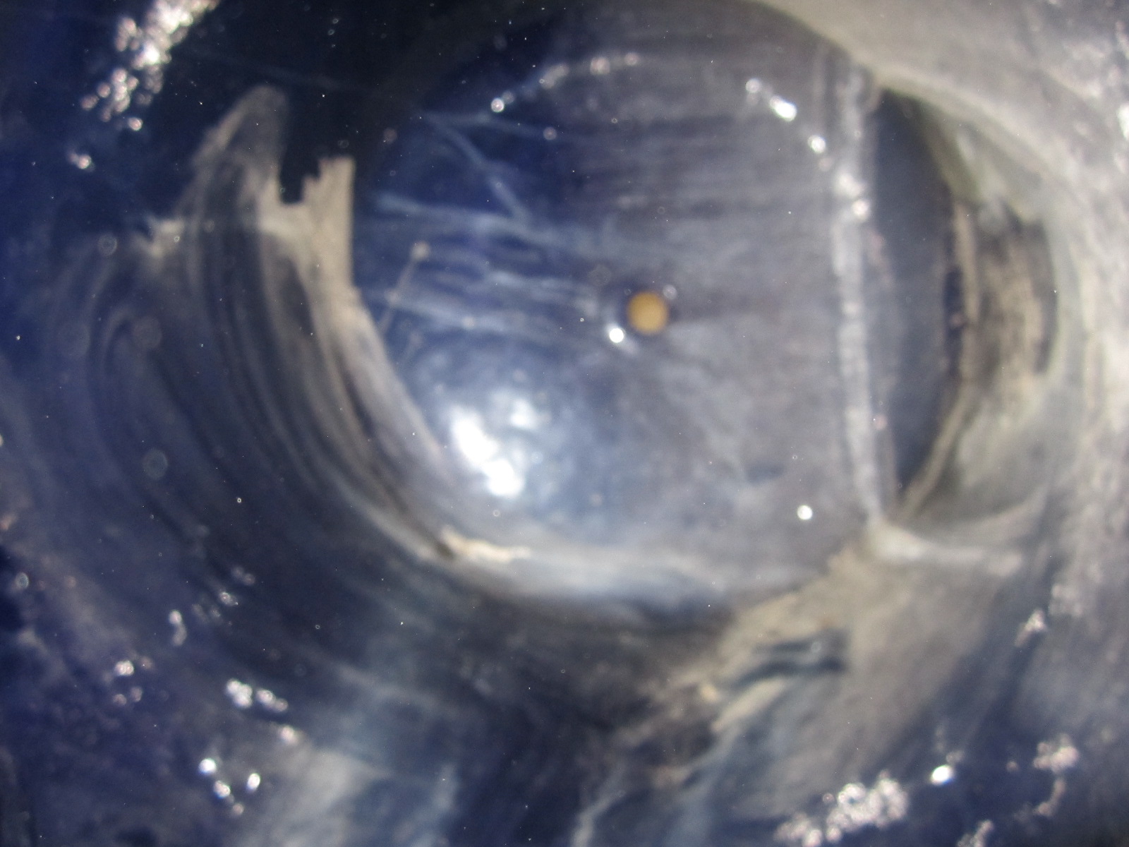 Glasslined Tank - IPP# 13893