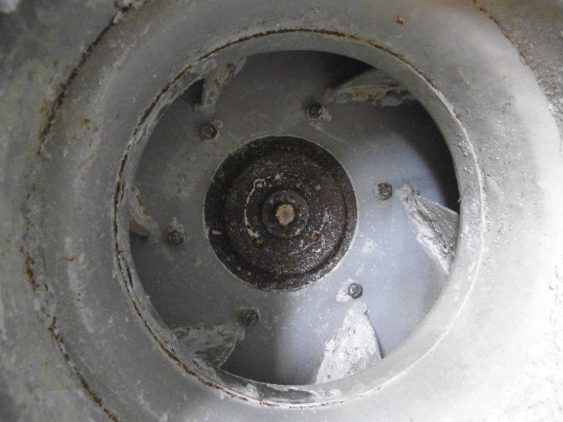   Dryer-Fluid Bed 300 L (79.3 gallons) Stainless Steel 304 For Sale - IPP# 208393