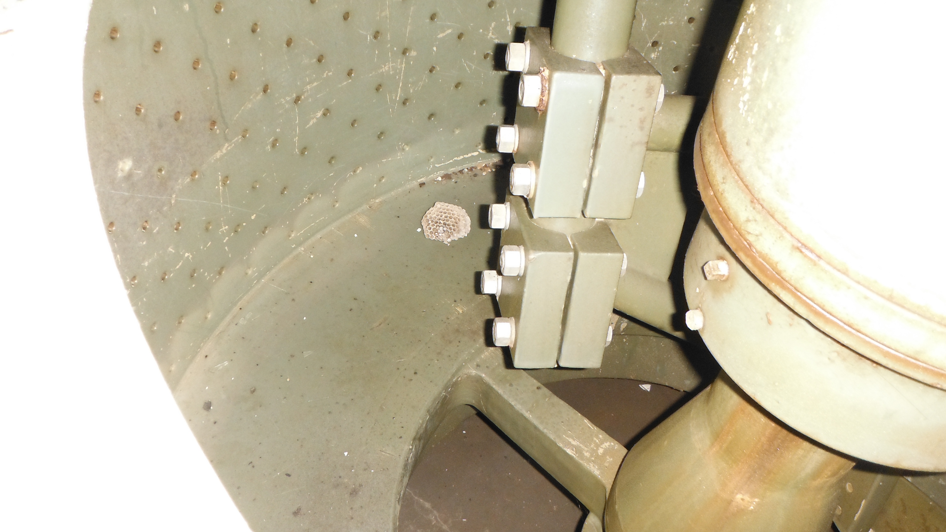  Parts Only Centrifuge-Basket 1,200 mm (48 in)  For Sale - IPP# 203094