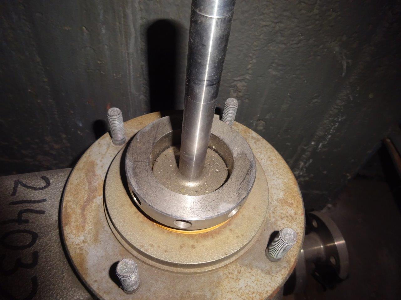  Titanium Reciprocating Pump 1.01 m3/h (4.4 GPM) For Sale - IPP# 214032