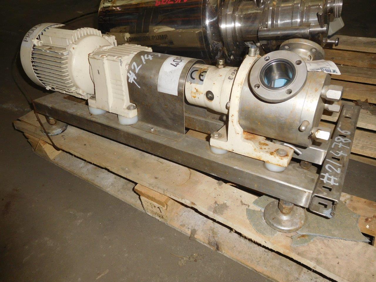  Stainless Steel 316 Rotary Pump 1 m3/h (4.4 GPM) For Sale - IPP# 214786