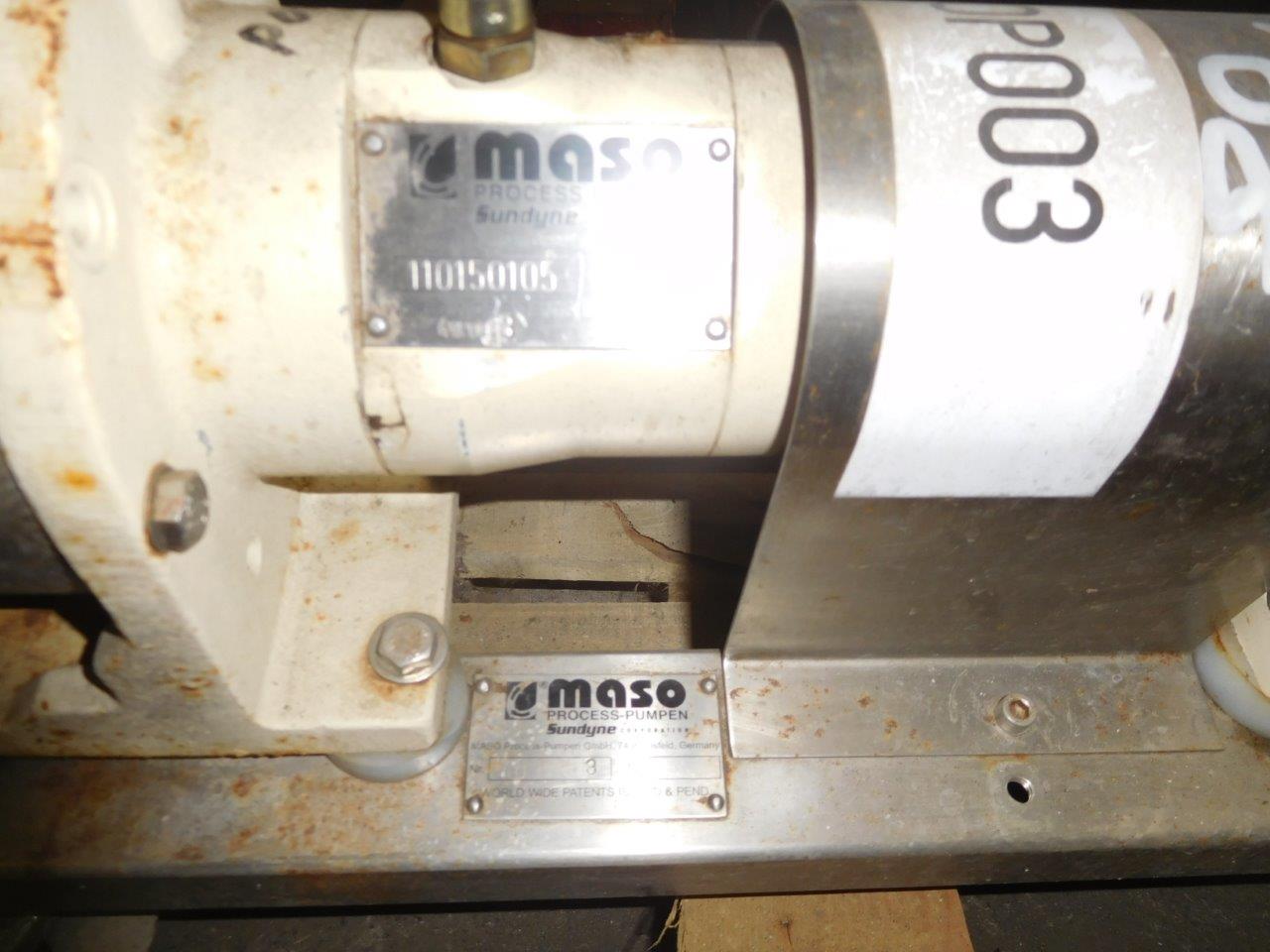  Stainless Steel 316 Rotary Pump 1 m3/h (4.4 GPM) For Sale - IPP# 214786