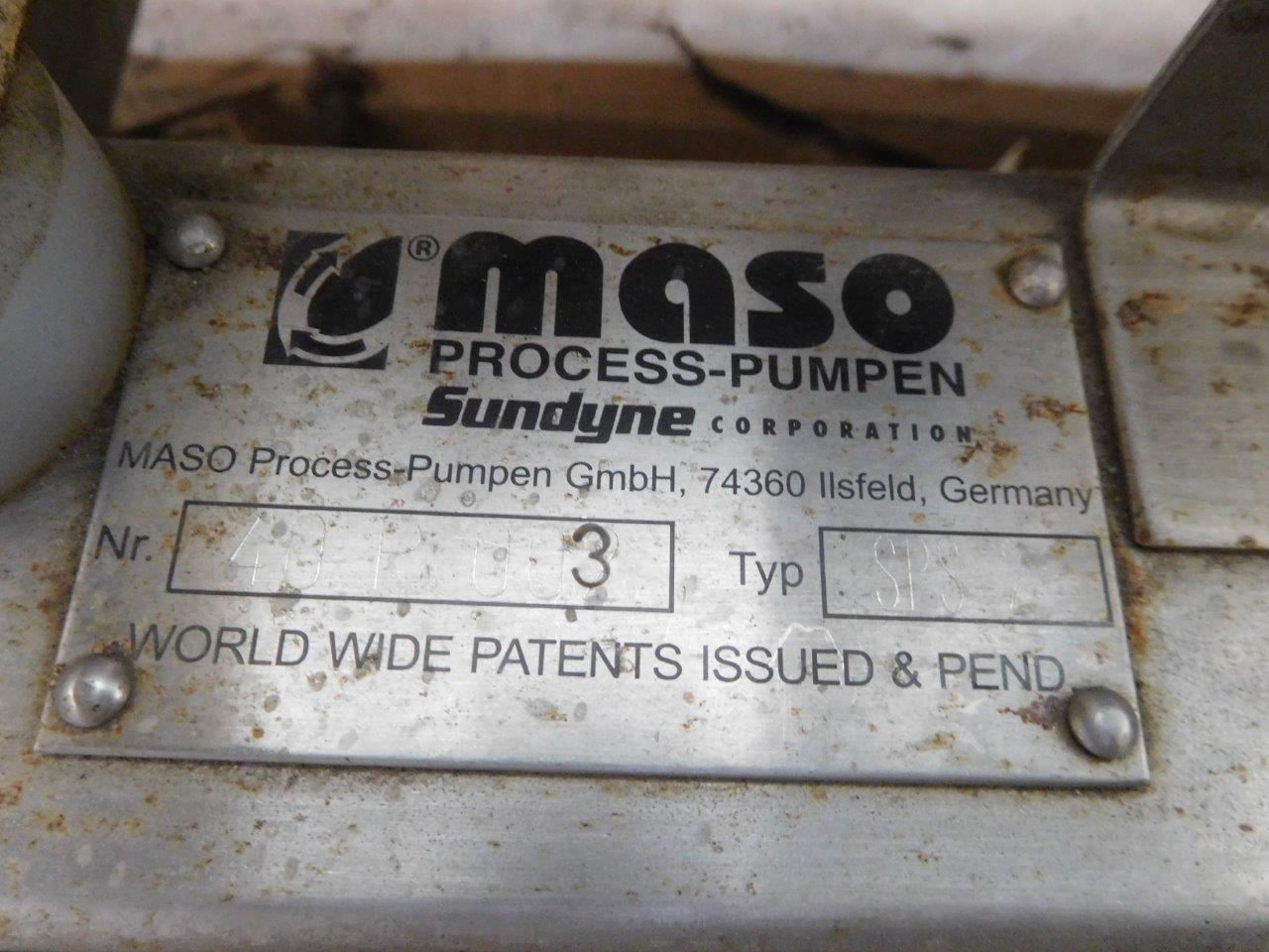  Stainless Steel 316 Rotary Pump 1 m3/h (4.4 GPM) For Sale - IPP# 214786