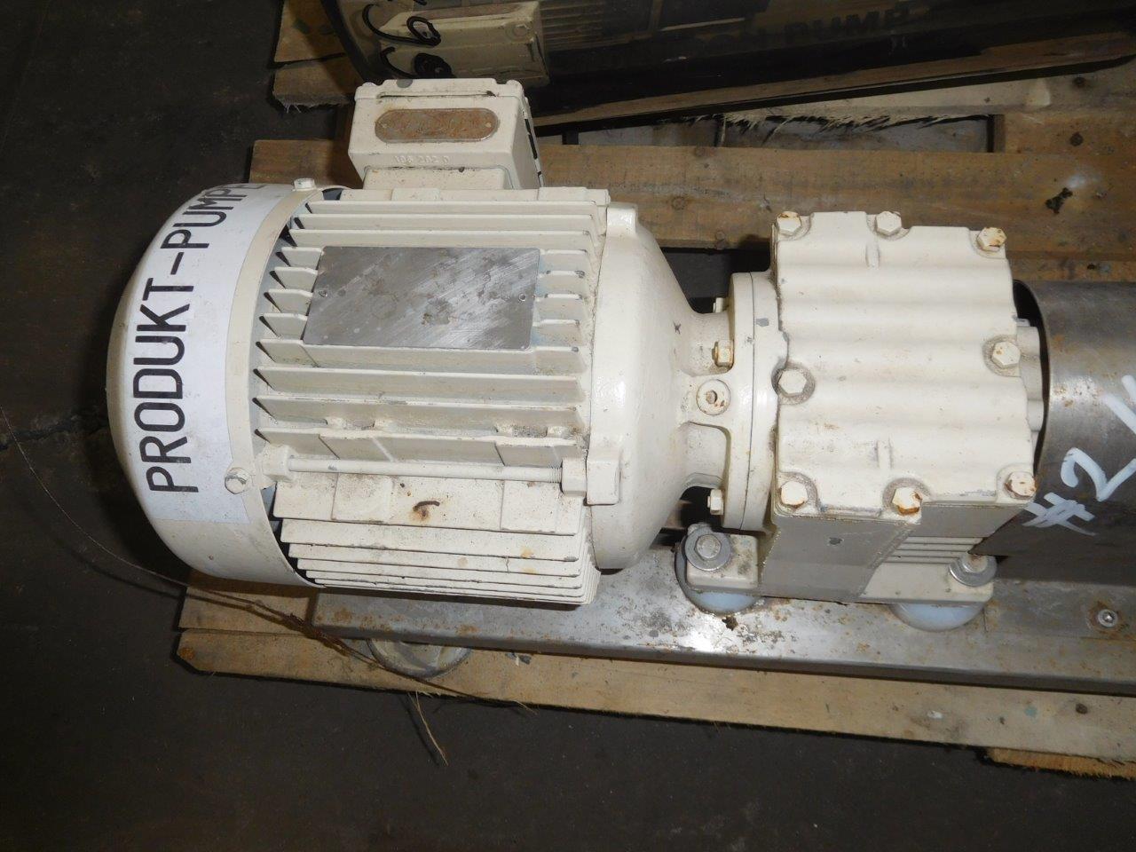  Stainless Steel 316 Rotary Pump 1 m3/h (4.4 GPM) For Sale - IPP# 214786