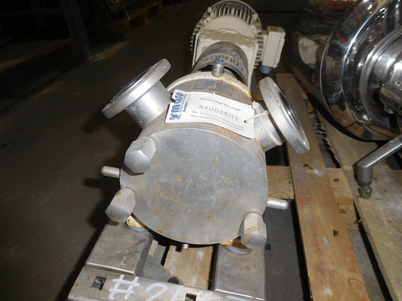  Stainless Steel 316 Rotary Pump 1 m3/h (4.4 GPM) For Sale - IPP# 214786