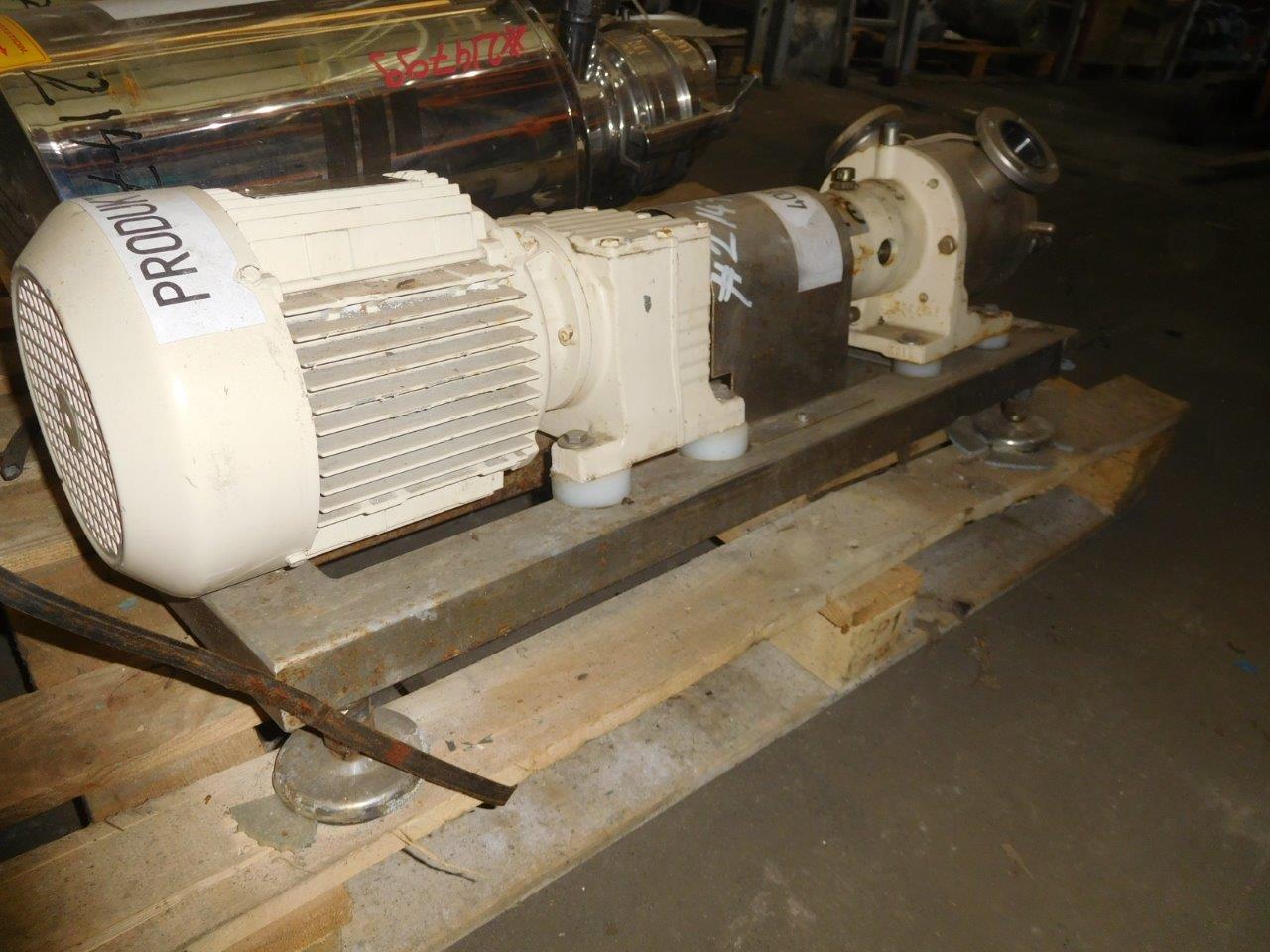  Stainless Steel 316 Rotary Pump 1 m3/h (4.4 GPM) For Sale - IPP# 214786