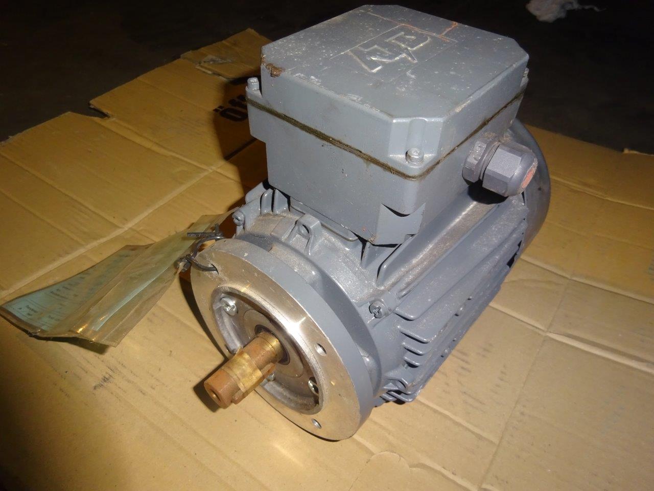 Unused  Motor Electrical  For Sale - IPP# 217933