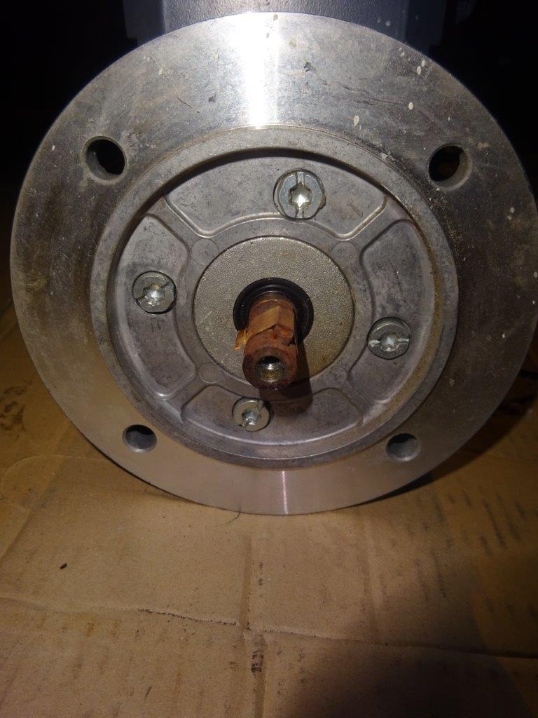 Unused  Motor Electrical  For Sale - IPP# 217934