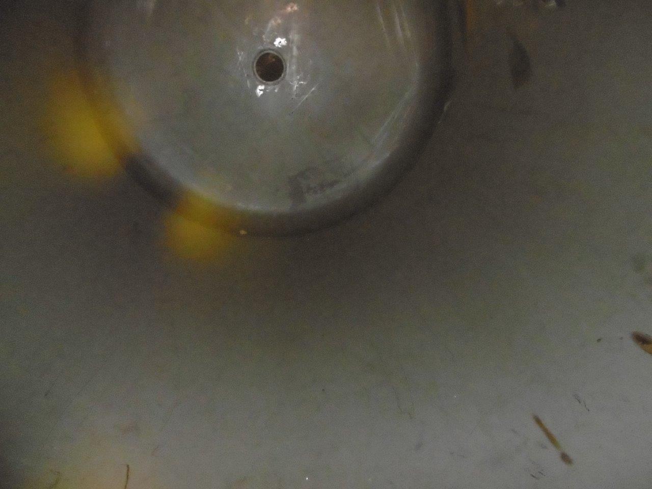 Stainless Steel 321 Heckmann apparate gmbh  Tank - IPP# 219086