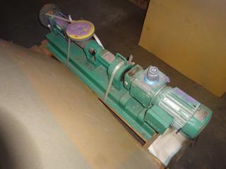 Stainless Steel Other Rotary Pump