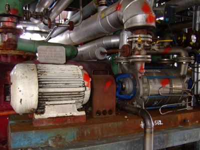   Pump-Vacuum 580 m3/h (341.4 CFM) Stainless Steel 316 For Sale - IPP# 219562