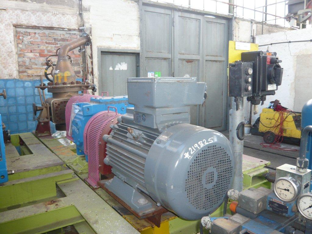  Stainless Steel Austenitic Rotary Pump  For Sale - IPP# 219825