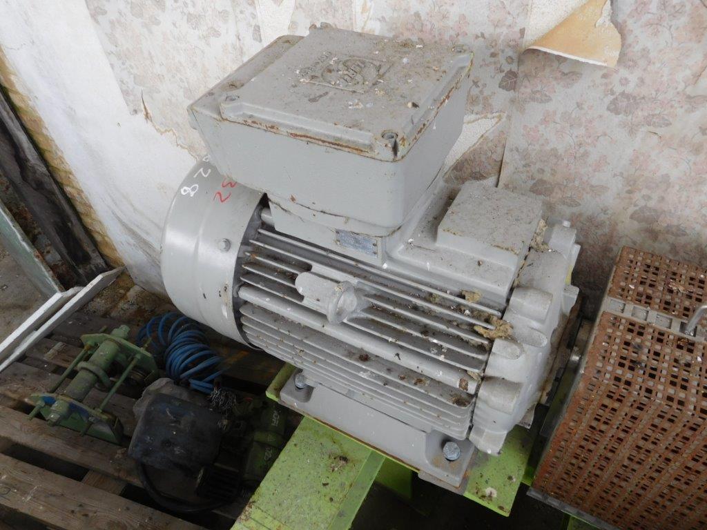  Stainless Steel Austenitic Rotary Pump  For Sale - IPP# 219828