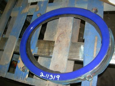  Glasslined Pro-Ring Glass Lined Parts  For Sale - IPP# 211319