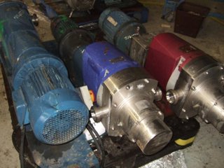 Stainless Steel Other Rotary Pump