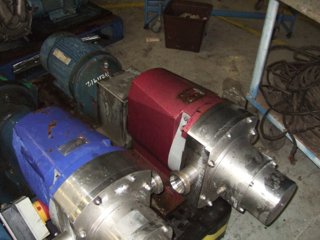 Stainless Steel Other Rotary Pump