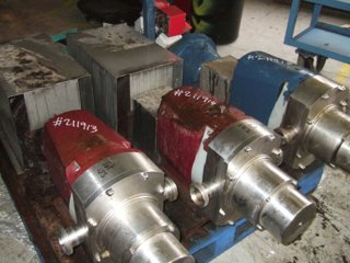 Stainless Steel Other Rotary Pump