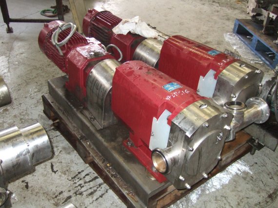  Duplex Rotary Pump 41.8 m3/h (183.9 GPM) For Sale - IPP# 211916