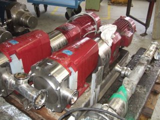 Duplex Rotary Pump