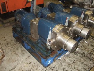 Duplex Rotary Pump