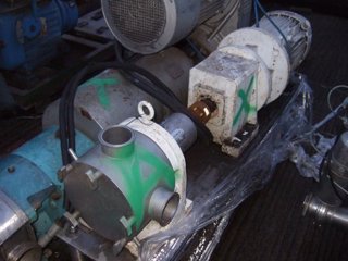 Stainless Steel Other Rotary Pump