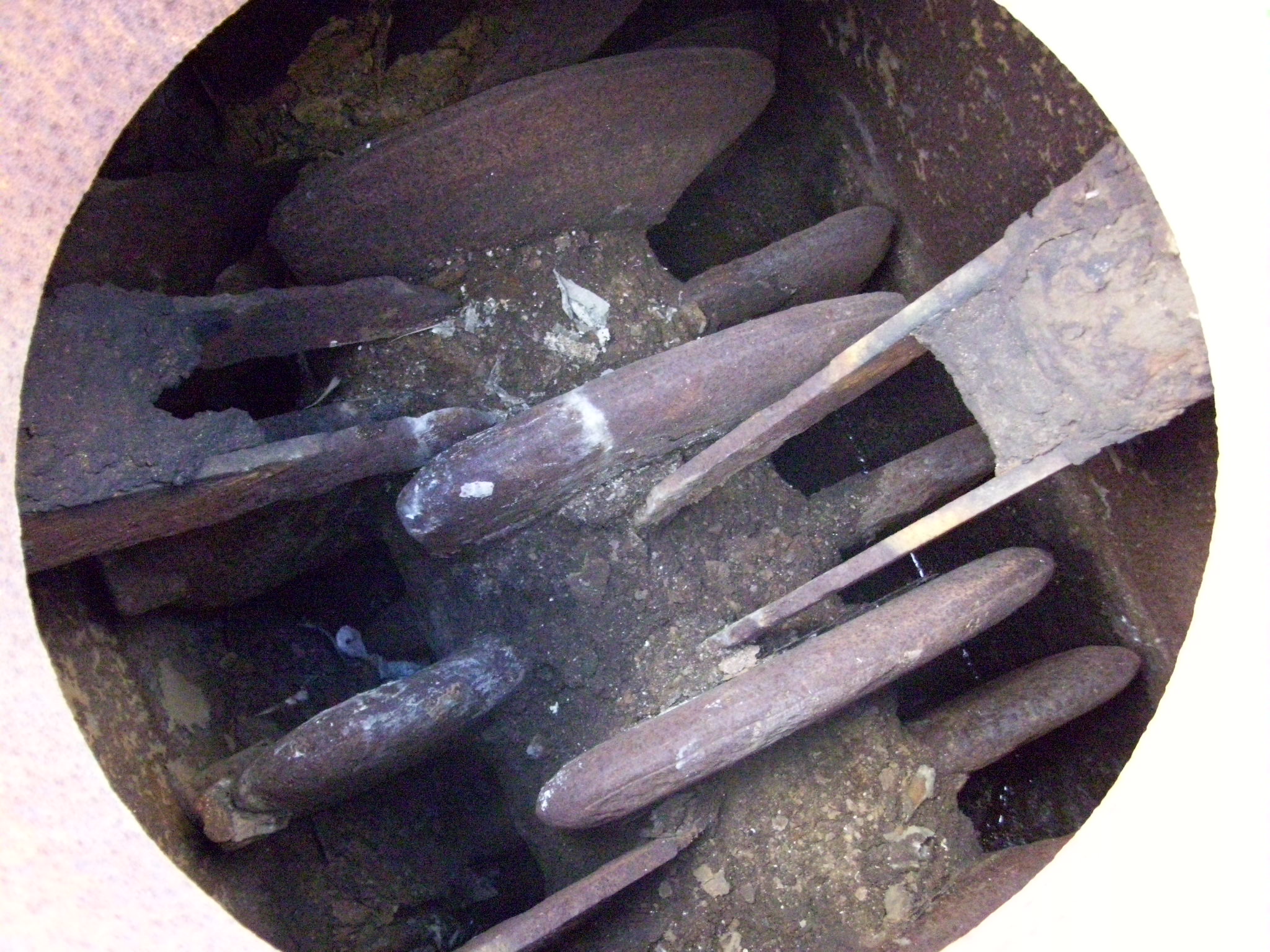 Carbon Steel Gale Process Solutions 1P3012 Dryer-Porcupine - IPP# 212620