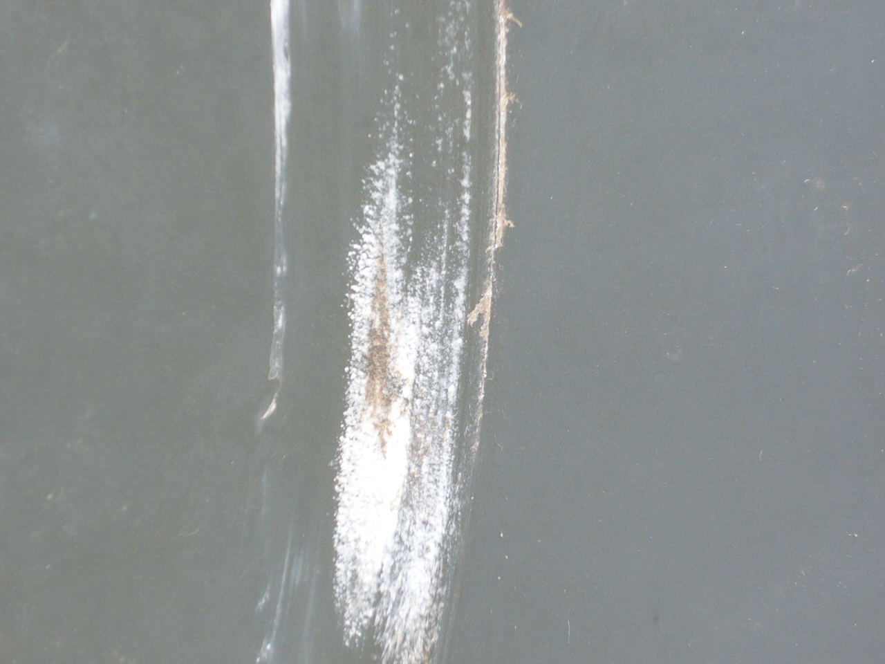 Unused  Centrifuge-Peeler 630 mm (24.8 in) Stainless Steel Austenitic For Sale - IPP# 212741