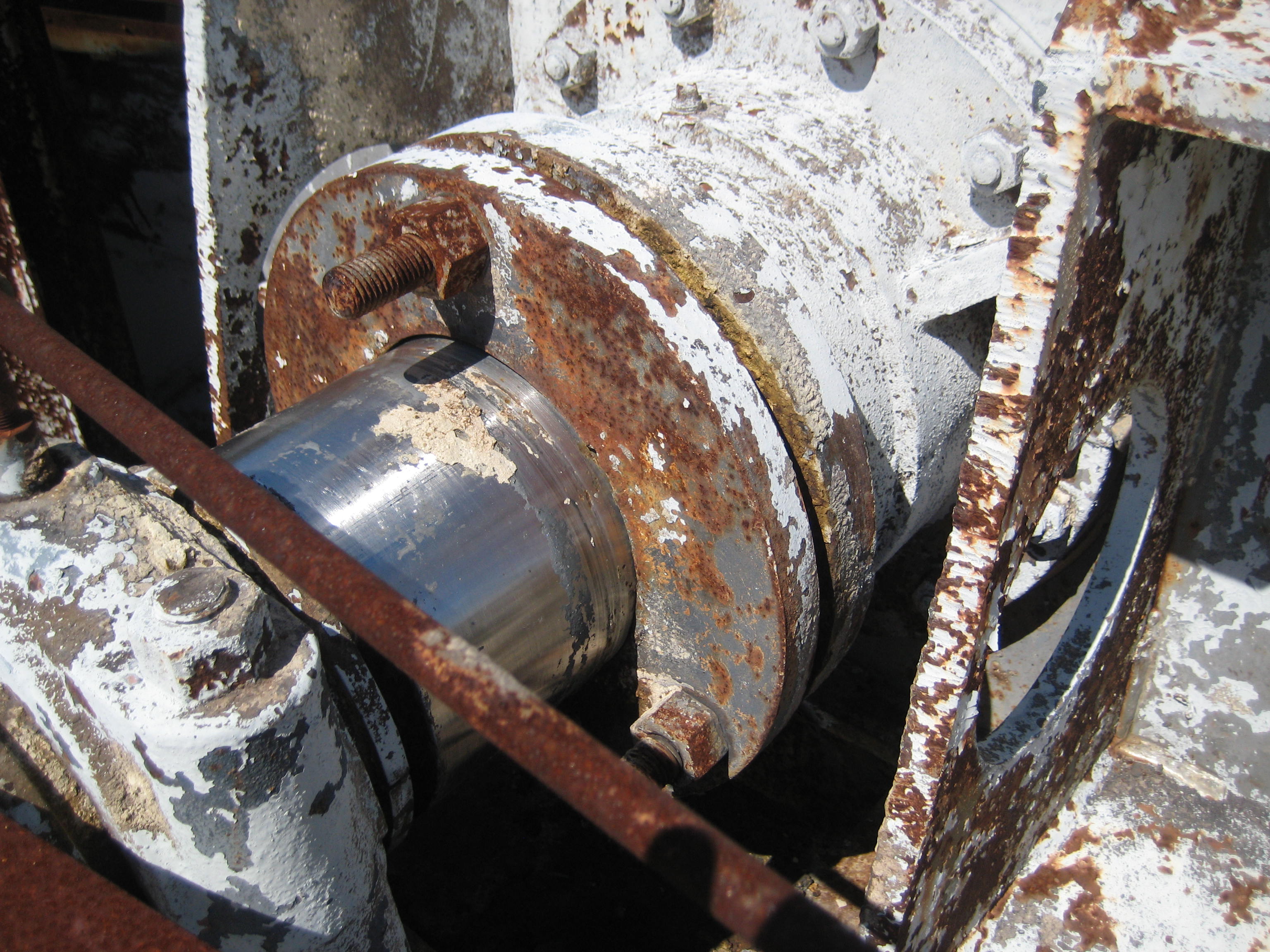 Stainless Steel 304 Dryer-Rotary Vacuum - IPP# 212955