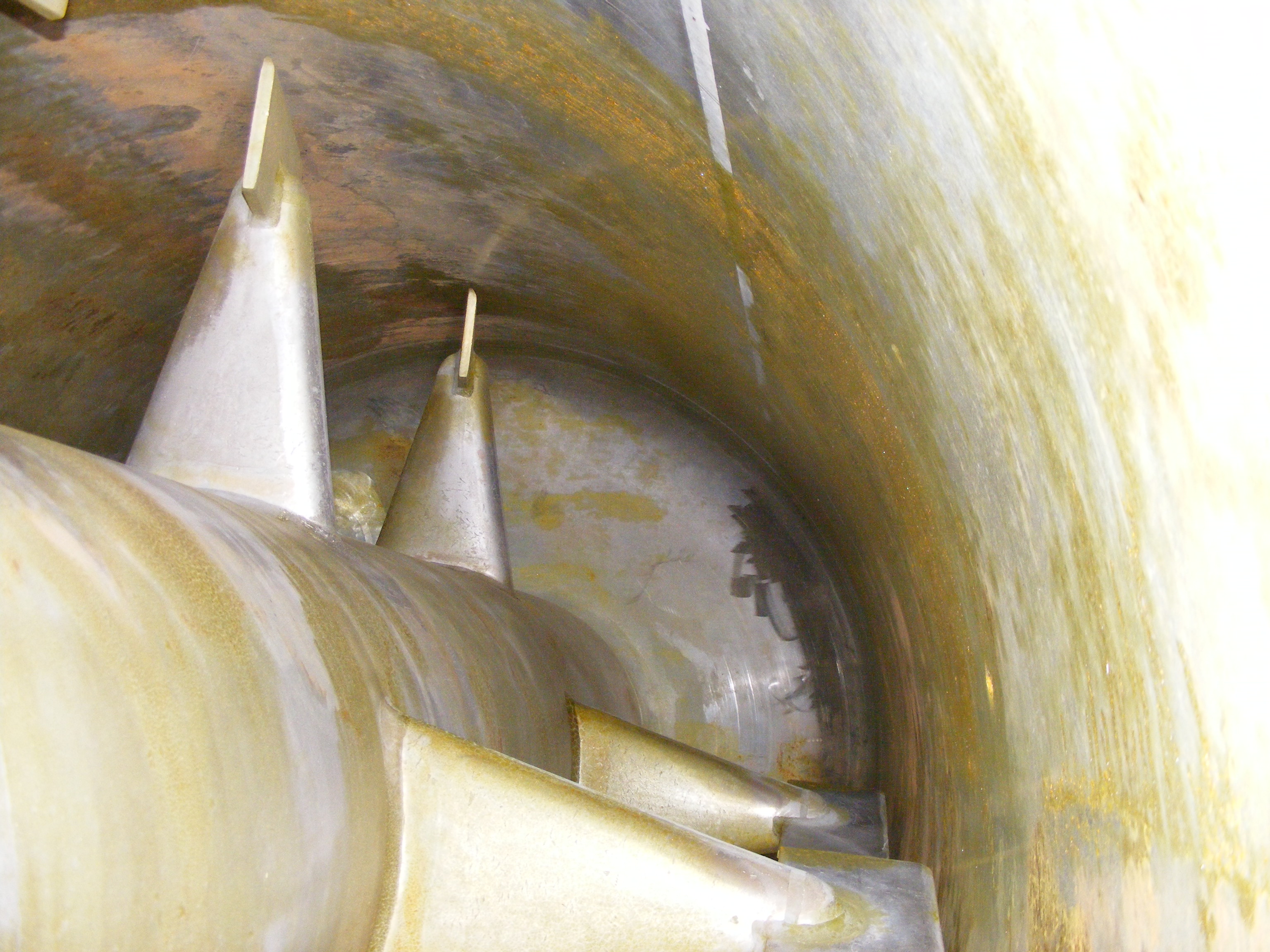 Stainless Steel 316 Buss AG Basel Schwein  Dryer-Rotary Vacuum - IPP# 213051