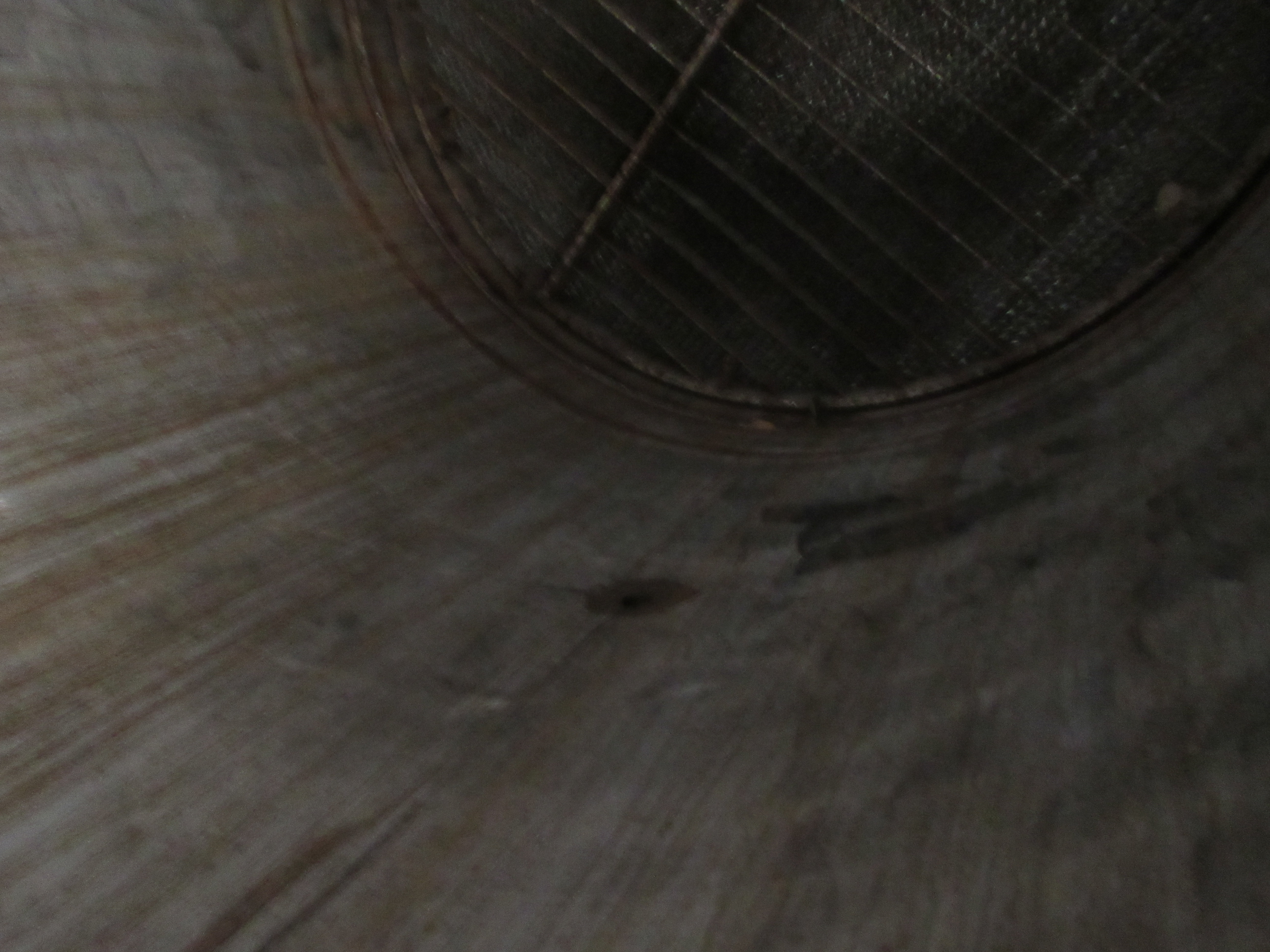 Packed Column - IPP# 213312