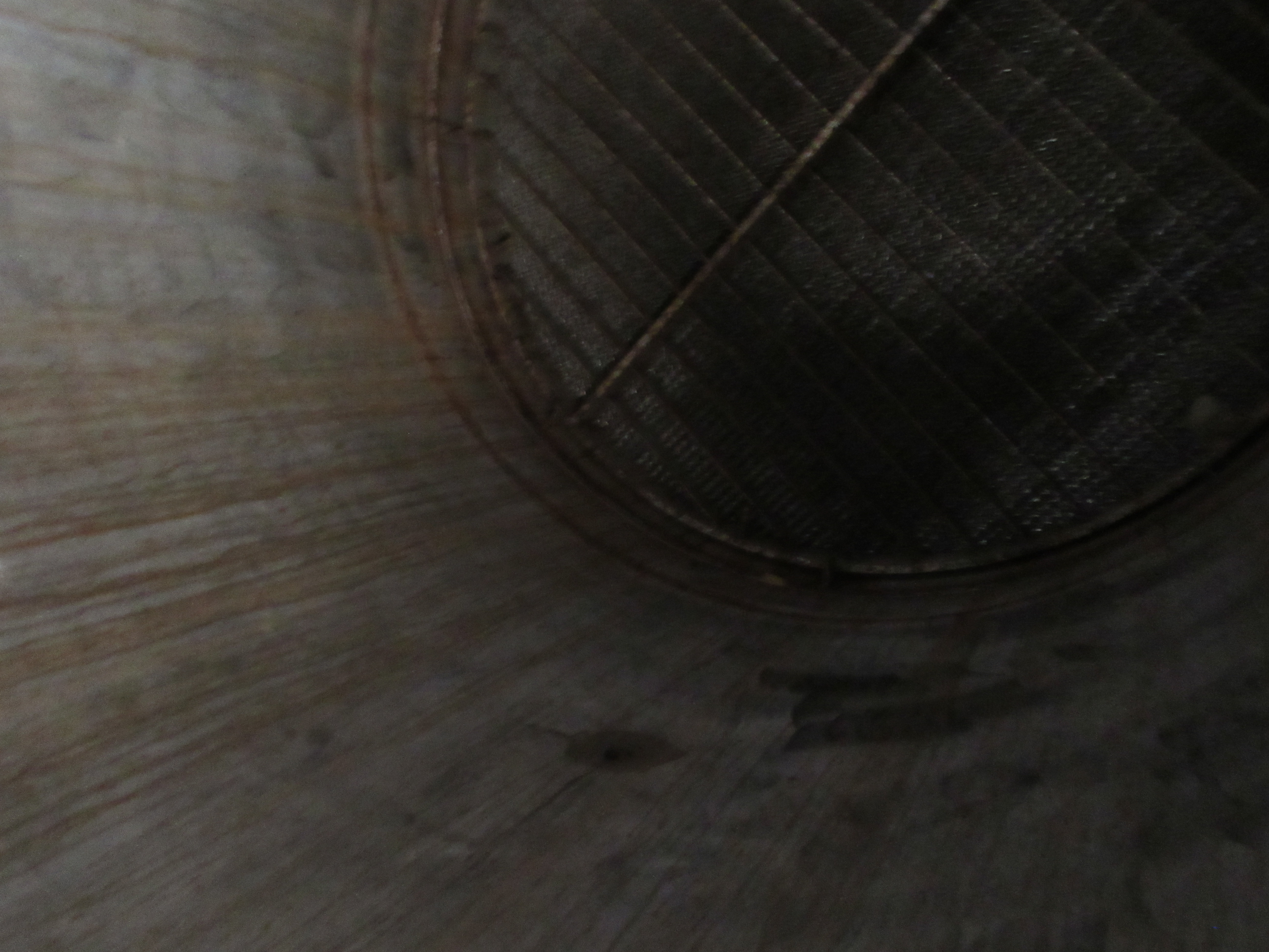 Packed Column - IPP# 213312