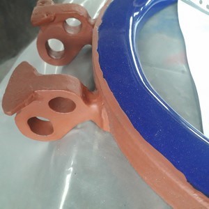  Glasslined Pro-Ring Glass Lined Parts  For Sale - IPP# 225447