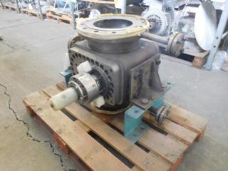 Stainless Steel Austenitic Rotary Pump