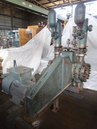 Stainless Steel Other Reciprocating Pump