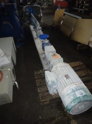 Stainless Steel 316 Rotary Pump