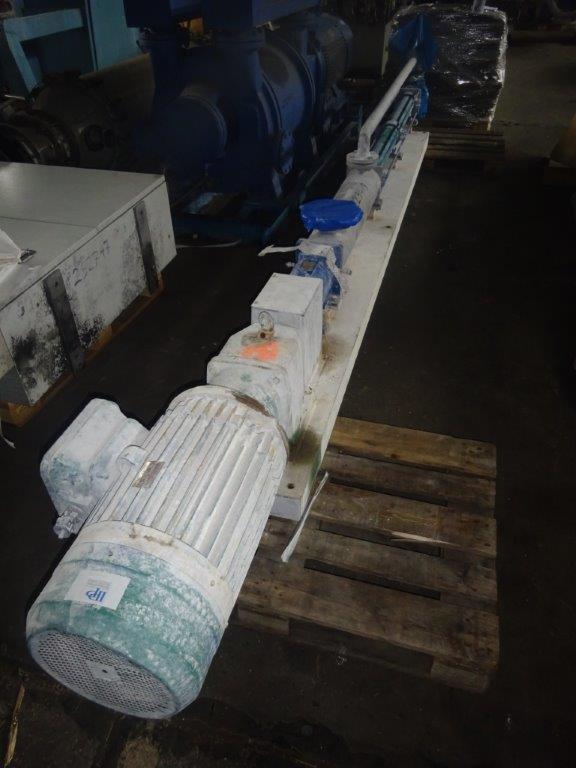  Stainless Steel 316 Rotary Pump 10 m3/h (44 GPM) For Sale - IPP# 229419