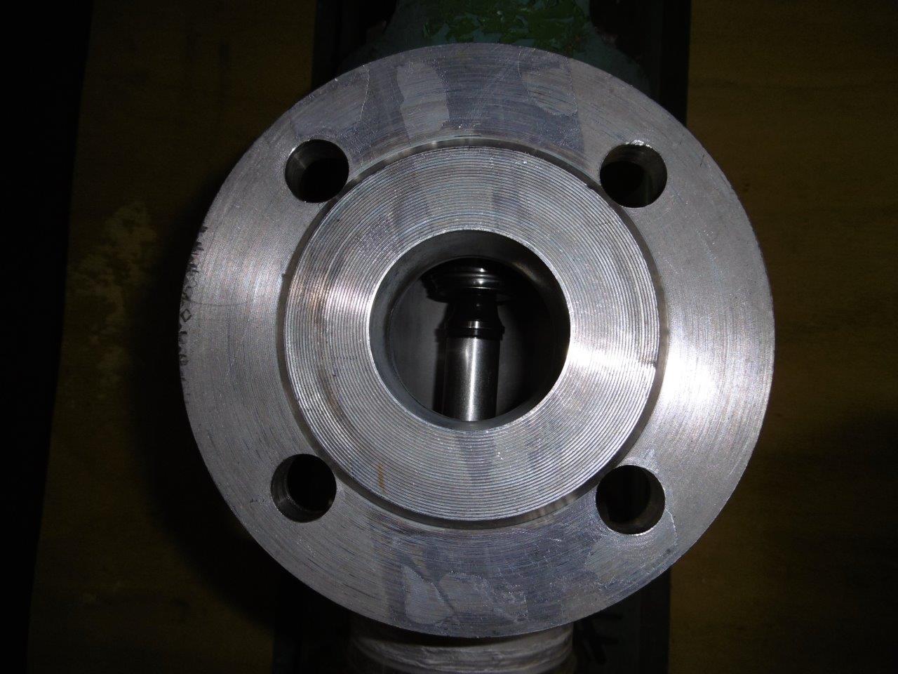  Stainless Steel Austenitic Rotary Pump 2 m3/h (8.8 GPM) For Sale - IPP# 220429