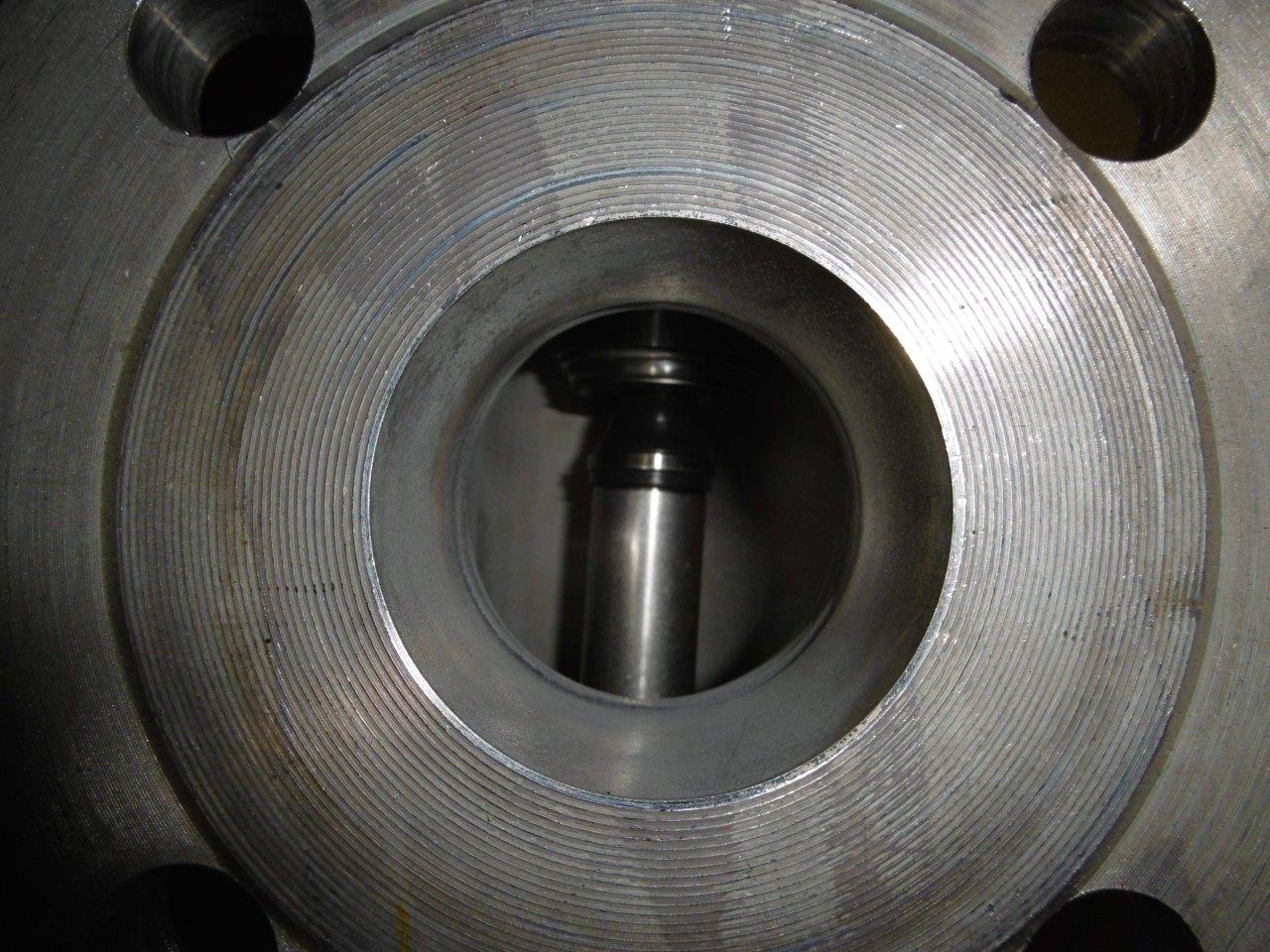  Stainless Steel Austenitic Rotary Pump 2 m3/h (8.8 GPM) For Sale - IPP# 220429