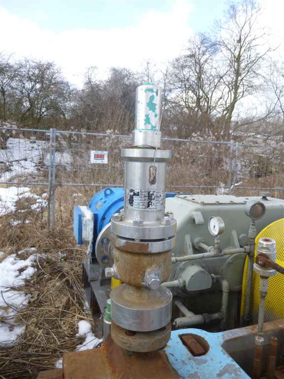  Reciprocating Pump 25 m3/h (110.1 GPM) Stainless Steel 316 For Sale - IPP# 221180