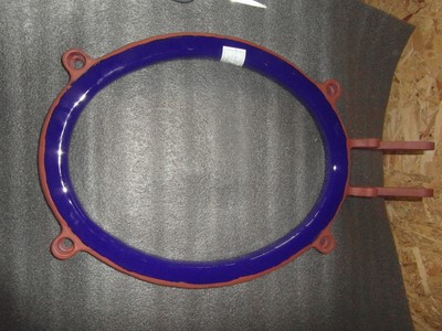  Pro-Ring Glass Lined Parts  Glasslined For Sale - IPP# 235593