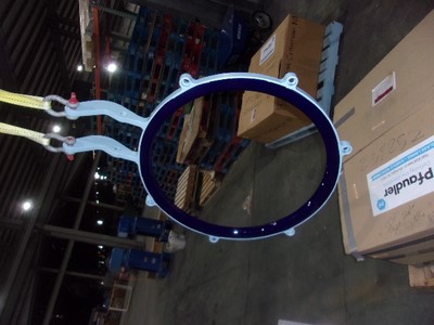 Unused Glasslined Pro-Ring Glass Lined Parts - IPP# 238268