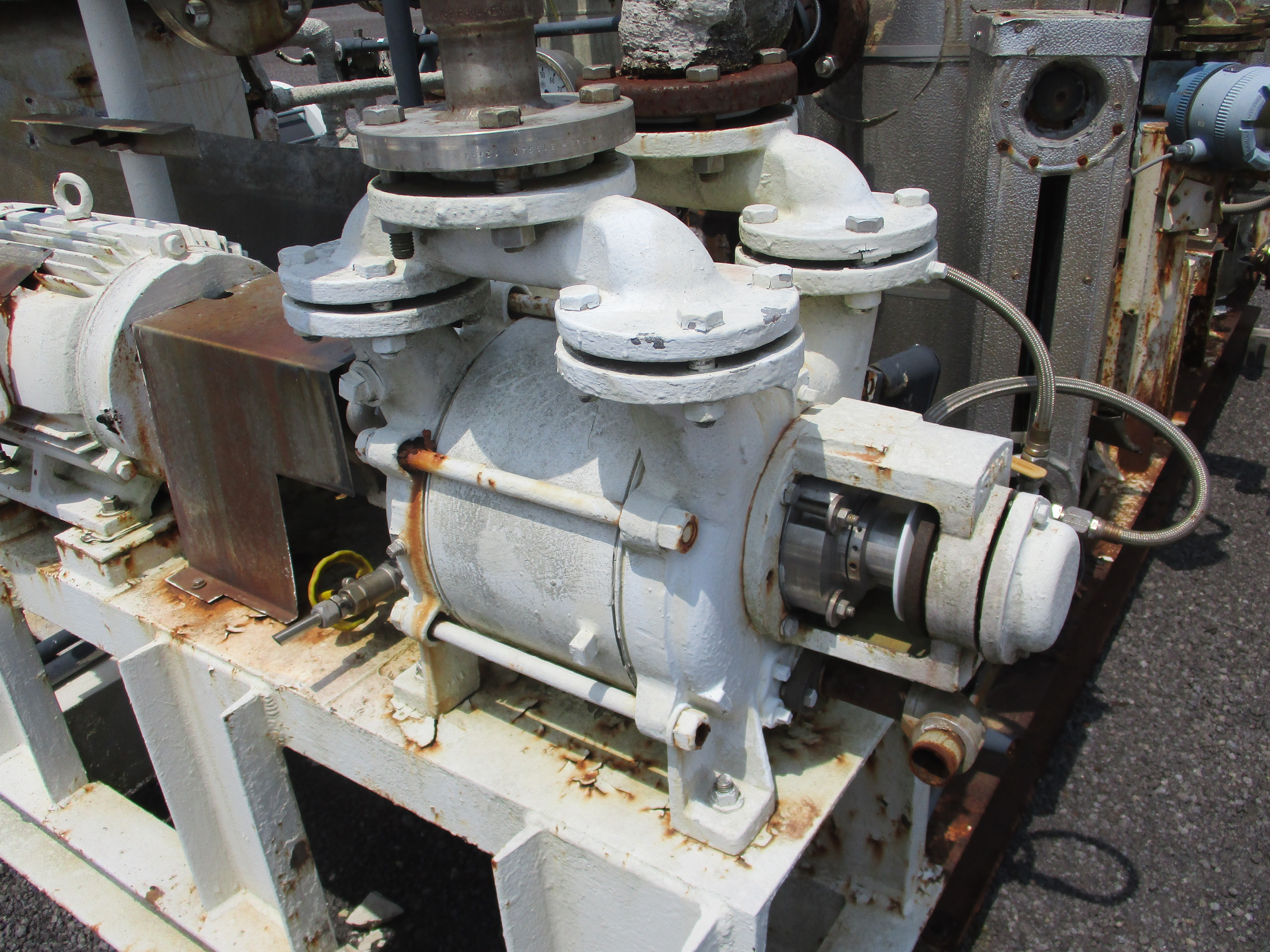   Pump-Vacuum 1,000 m3/h (600 CFM) Stainless Steel 316 For Sale - IPP# 233954