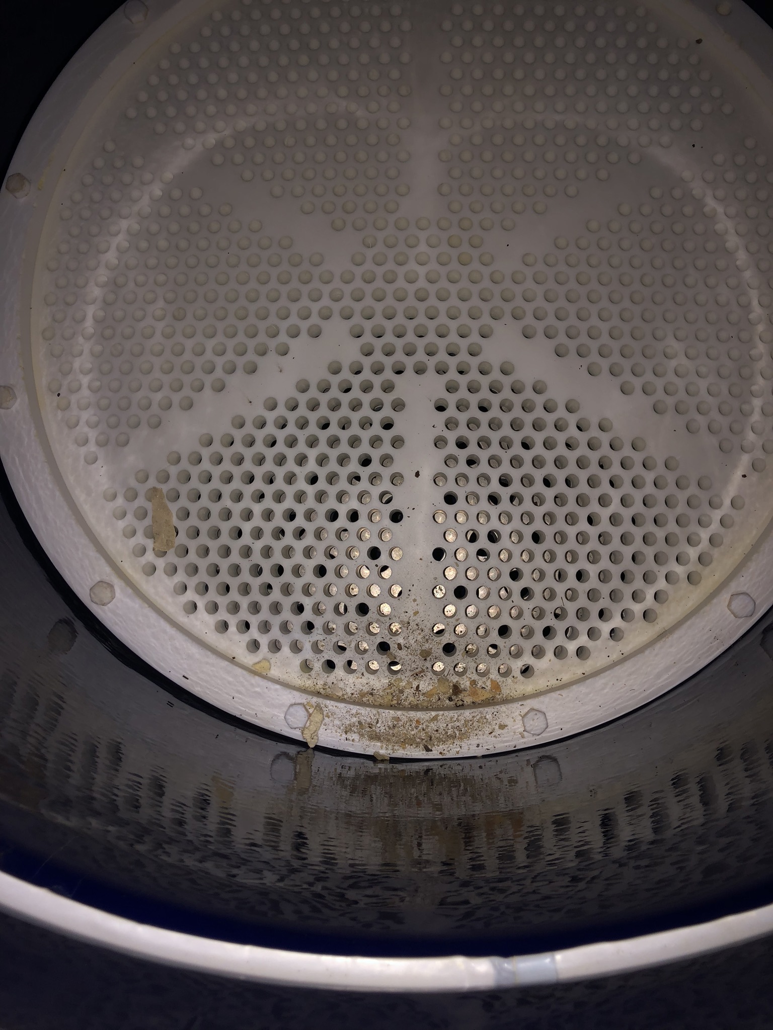 Glasslined Nutsche Filter - IPP# 245508