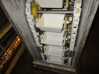 Stainless Steel 304 Bucket elevator Conveyor