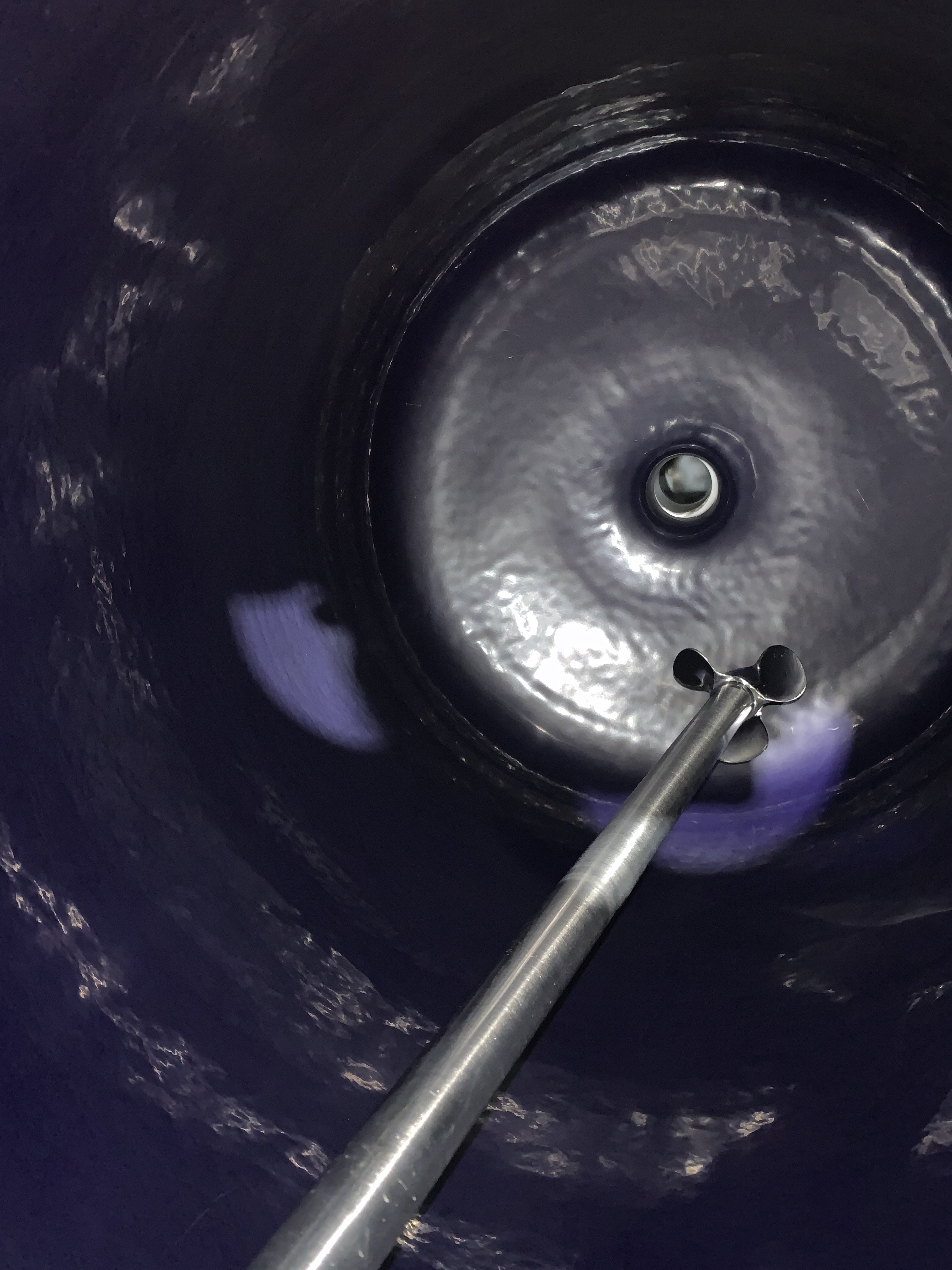 Glasslined Pfaudler CTJ Batch-Type Agitated Reactor - IPP# 247314