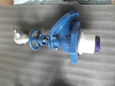  Glasslined Glass Lined Valve 101.6 mm (4 in) For Sale - IPP# 240489