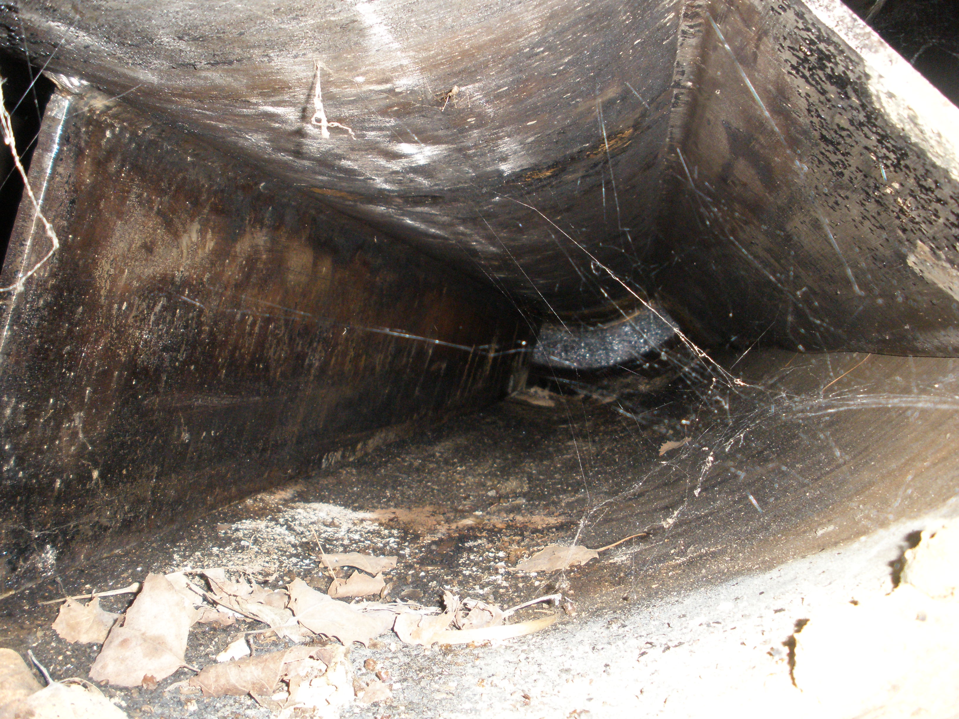  Wiped/Thin Film Evaporator 181.4 kg/h (400 lb/h) Stainless Steel 316 For Sale - IPP# 49898