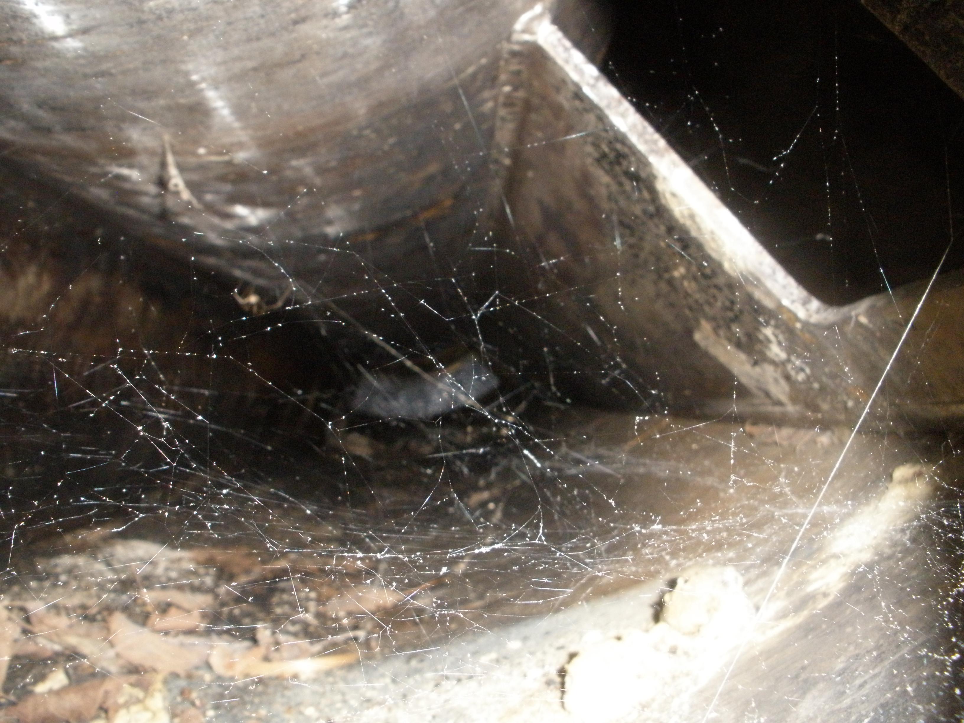  Wiped/Thin Film Evaporator 181.4 kg/h (400 lb/h) Stainless Steel 316 For Sale - IPP# 49898