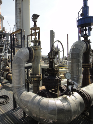 IPP# 601104, Gasifiers Gasification For Sale