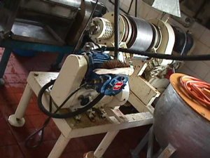 Dryer-Flaker Drum and Belt